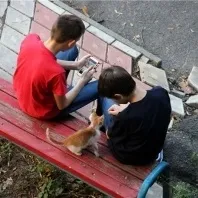 Я йду в осінню алею ......