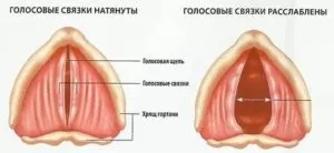 Навіщо чоловікові потрібен кадик - функції і будова, фото, проблеми з кадиком (кадик у чоловіків що значить) Навіщо чоловікові потрібен кадик - функції і будова, фото, проблеми з кадиком