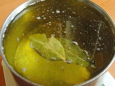закусочний день