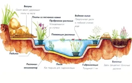 Заболочений ділянку, особливості ландшафтного дизайну на заболоченому ділянці, робимо своїми руками (заболоченому) Заболочений ділянку, особливості ландшафтного дизайну на заболоченому ділянці, робимо своїми руками