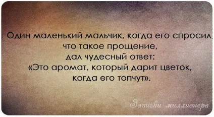 Записки мільйонера 2