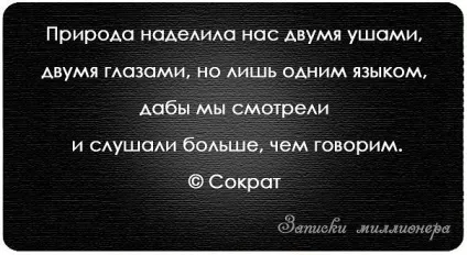 Записки мільйонера 2