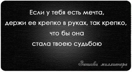 Записки мільйонера 2