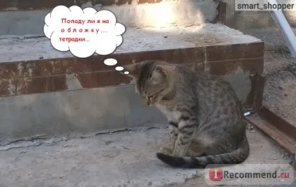 Нотатки color pets - «коти-бешкетники! З такою поведінкою і потрапити на обкладинку (color) Нотатки color pets - «коти-бешкетники! З такою поведінкою і потрапити на обкладинку