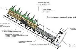 Зелена дах своїми руками - хороший спосіб збільшити площу ділянки (дах) Зелена дах своїми руками - хороший спосіб збільшити площу ділянки