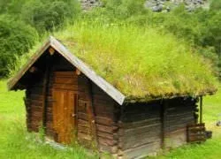 Зелена дах своїми руками креслення, схеми, рослини, опори, як зробити, в ландшафтному дизайні, (зелена) Зелена дах своїми руками креслення, схеми, рослини, опори, як зробити, в ландшафтному дизайні,