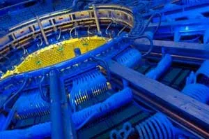 Життя і побут екстрасенсів, екстрасенси (життя) Життя і побут екстрасенсів, екстрасенси