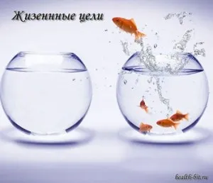 Життєві цілі - теорія, визначення і постановка (ставити перед собою) Життєві цілі - теорія, визначення і постановка