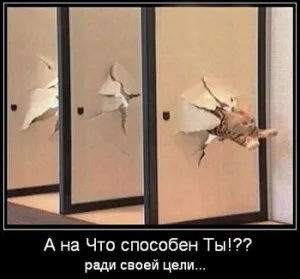 Життєві цілі - теорія, визначення і постановка (визначення) Життєві цілі - теорія, визначення і постановка