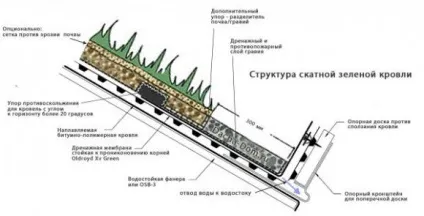 Зелена дах своїми руками як зробити, технологія укладання та ін (зелена) Зелена дах своїми руками як зробити, технологія укладання та ін