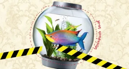 Зона комфорту чи потрібно з неї виходити