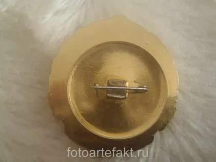 Значок - за безаварійне водіння (значок) Значок - за безаварійне водіння