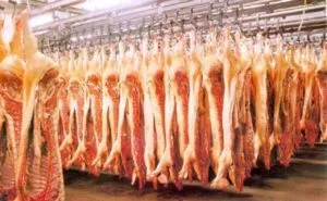 260301 Спеціальність - технологія м'яса і м'ясних продуктів, технологічний коледж 28 (260301) 260301 Спеціальність - технологія м'яса і м'ясних продуктів, технологічний коледж 28