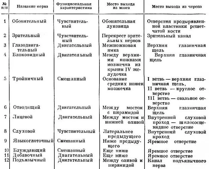 12 Пар черепно-мозкових нервів таблиця