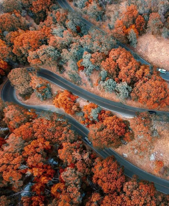 20 Яскравих фотографій показують, що потрібно жити тут і зараз (жити) 20 Яскравих фотографій показують, що потрібно жити тут і зараз