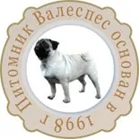 Айболить для вашого пса перші симптоми собачого нездоров'я (puppies) Айболить для вашого пса перші симптоми собачого нездоров'я