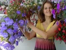 Ахименес догляд і вирощування (може знадобитися притінення) Ахименес догляд і вирощування