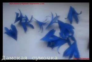 Астра з тканини своїми руками (квітів) Астра з тканини своїми руками