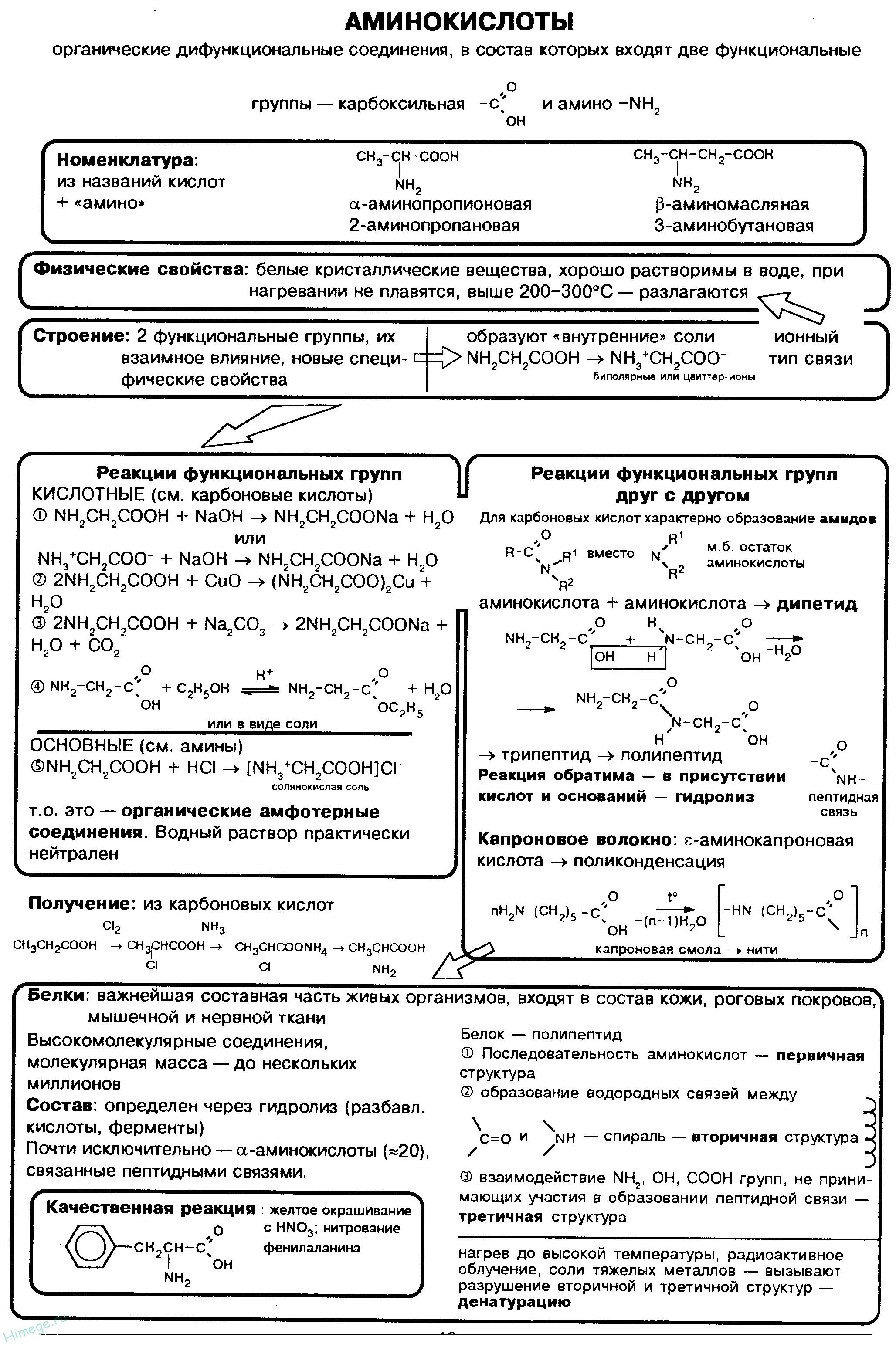 Амінокислоти - номенклатура, отримання, хімічні властивості