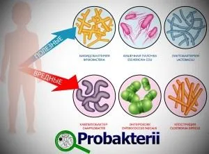 Бактерії на руках у людини які є бактерії брудних рук