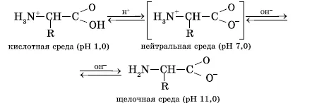 Амінокислоти - номенклатура, отримання, хімічні властивості