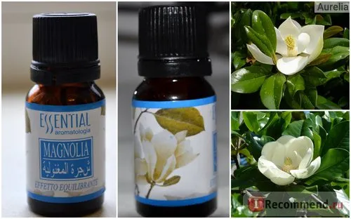 Ароматичне масло essential aromatologia магнолія - «- в краю магнолій гримить море (ароматичне) Ароматичне масло essential aromatologia магнолія - «- в краю магнолій гримить море