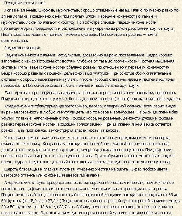 Американський пітбультер'єр або пітбуль порода собак з вольовим характером, фото і відео