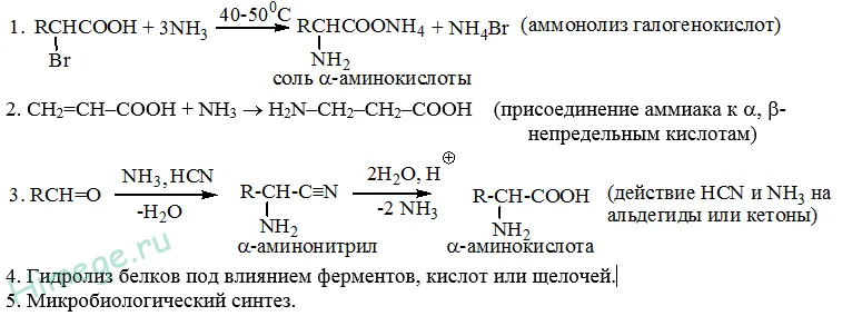 Амінокислоти - номенклатура, отримання, хімічні властивості