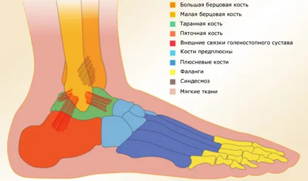 Біль в гомілковостопному суглобі причини, симптоми і лікування