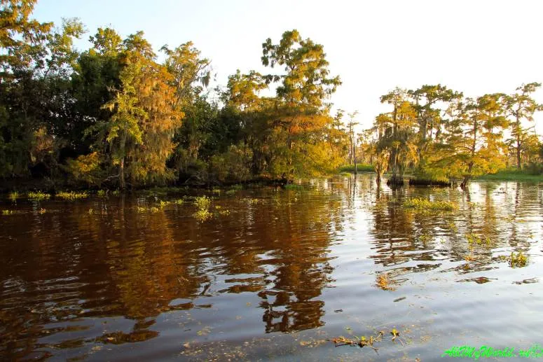 Безтурботне місто - новий орлеан враження і фото (новий орлеан пам'ятки) Безтурботне місто - новий орлеан враження і фото