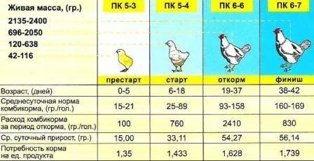 Чим годувати бройлерів в домашніх умовах для швидкого зростання (бройлерів) Чим годувати бройлерів в домашніх умовах для швидкого зростання