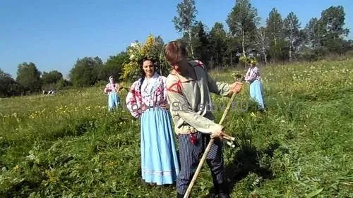 Боремося з бур'янами все методи боротьби з сорна рослинами (глибоку кореневу систему) Боремося з бур'янами все методи боротьби з сорна рослинами