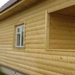 Чим покрити лазню всередині і як для цього підготувати деревину (покрити) Чим покрити лазню всередині і як для цього підготувати деревину