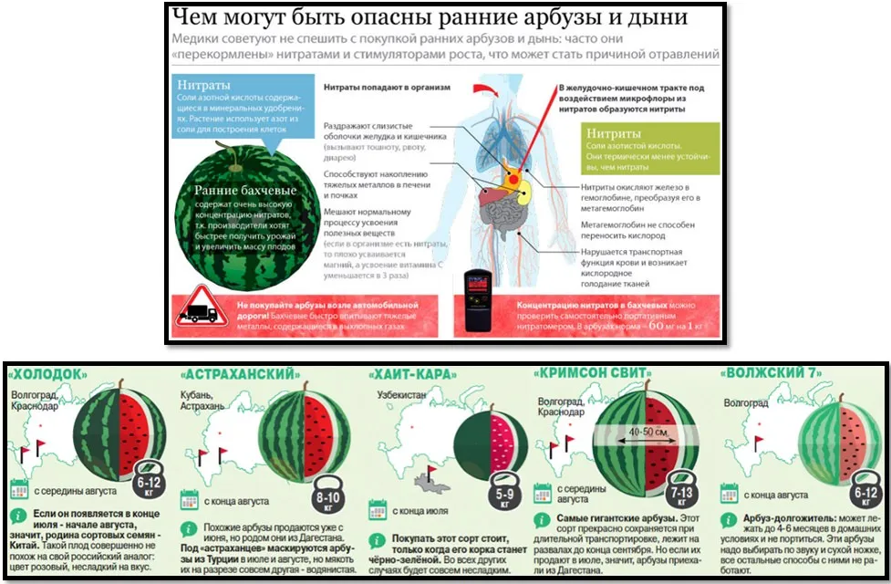 Чим корисний кавун вся правда