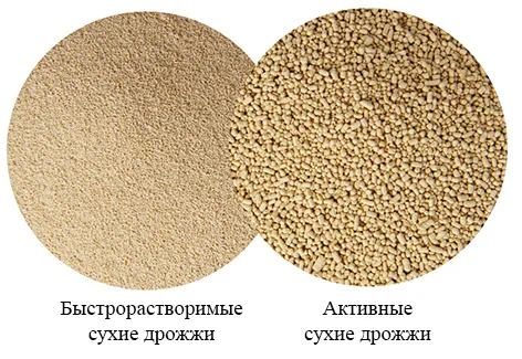 Що таке дріжджі angel yeast co, ltd (важливу роль виробництві) Що таке дріжджі angel yeast co, ltd