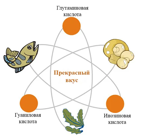 Що таке дріжджі angel yeast co, ltd (таке) Що таке дріжджі angel yeast co, ltd