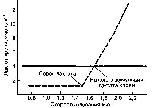 Що таке - лактатний поріг (можливостей аеробного системи) Що таке - лактатний поріг