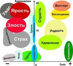 Емоції і здоров'я прямий зв'язок, секрети здоров'я після 40 років (після) Емоції і здоров'я прямий зв'язок, секрети здоров'я після 40 років