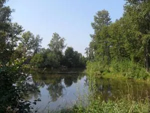 Екологічні проблеми малих водойм