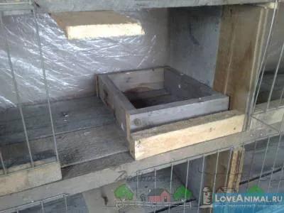 Дім, милий дім або як виготовити для голубів гнізда (гніздо) Дім, милий дім або як виготовити для голубів гнізда