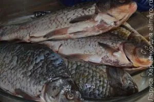 Фаршировані карасі з овочами в духовці (фаршировані карасі в духовці) Фаршировані карасі з овочами в духовці