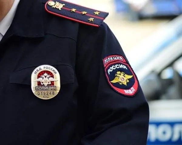 Федеральний закон про поліцію опис, прийняття та реалізація