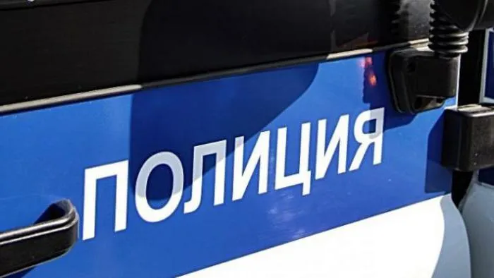 Федеральний закон про поліцію опис, прийняття та реалізація