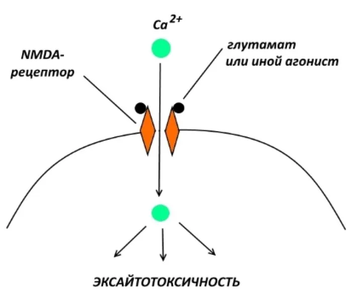 Фармакологічна модуляція пам'яті (пам'яті) Фармакологічна модуляція пам'яті