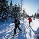 Гімнастика для мозку, здоровий спосіб життя-легко! (Ноги ширину плечей) Гімнастика для мозку, здоровий спосіб життя-легко!