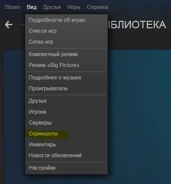 Де знаходяться скріншоти в steam (скріншоти) Де знаходяться скріншоти в steam