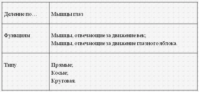 Очні м'язи, сайт психолога Світлани Пилюгін (м'язи) Очні м'язи, сайт психолога Світлани Пилюгін