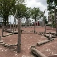 Перший кошик помідорів і перші заготовки
