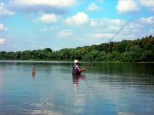 Пількер і його застосування (застосування) Пількер і його застосування