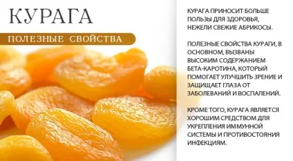 Білковий коктейль для схуднення в домашніх умовах - більше 20 рецептів (коктейль) Білковий коктейль для схуднення в домашніх умовах - більше 20 рецептів